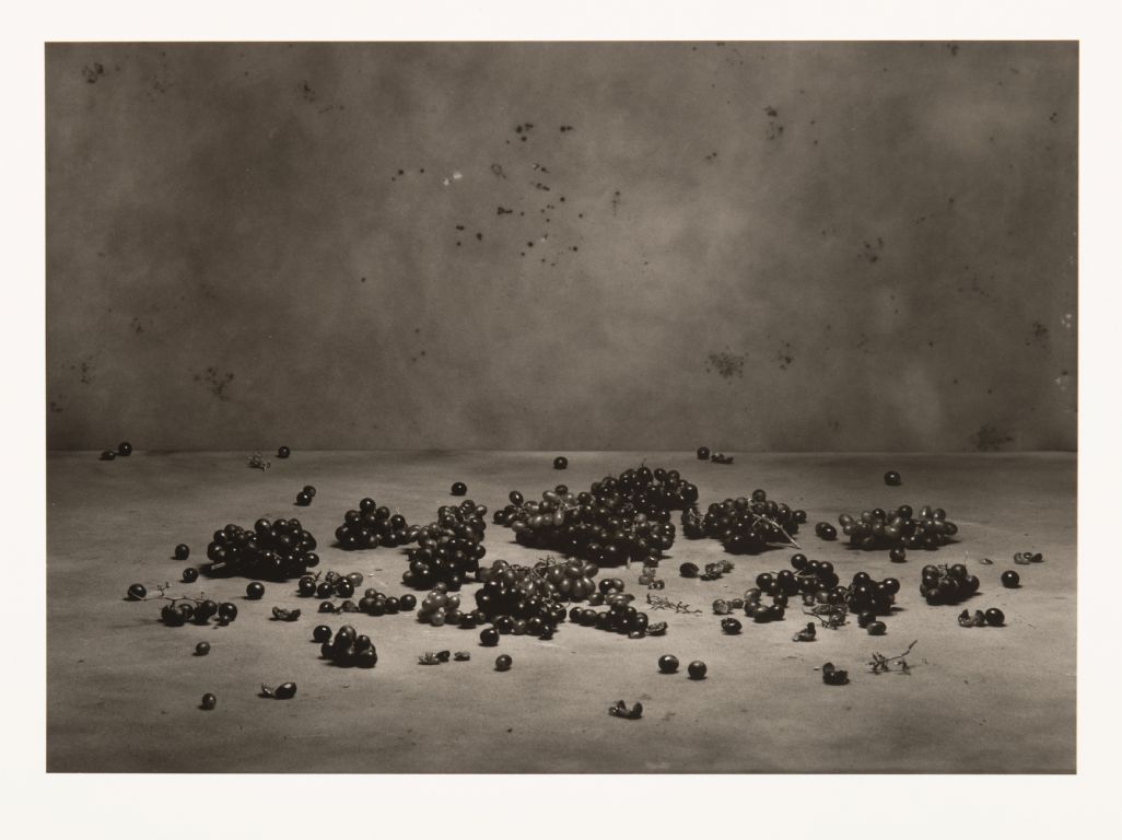 Ivan Pinkava, Velká hostina, 2003
